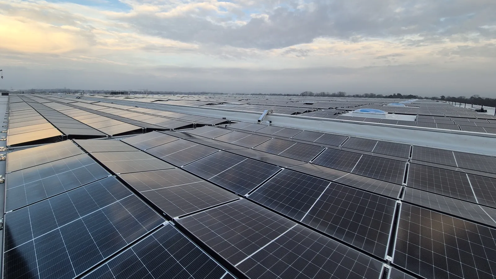 Photovoltaikmodule in mehreren Reihen auf einem großen Hallendach